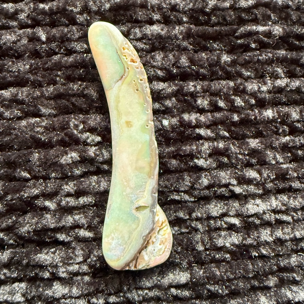 Colorful Abalone Shell Pieces - Picture 8 of 8